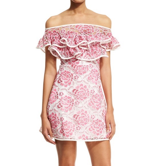 Alexis pink ruffle lace dress